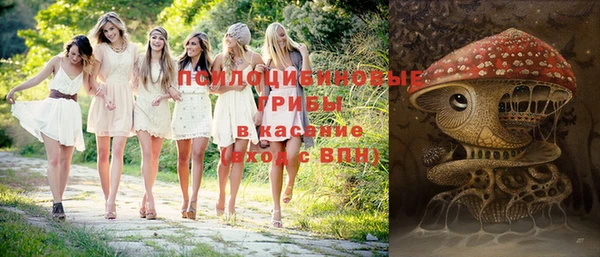 Альфа ПВП Вязники