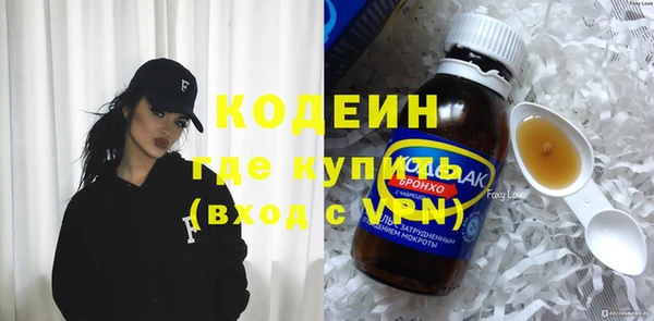 прущие грибы Вязьма