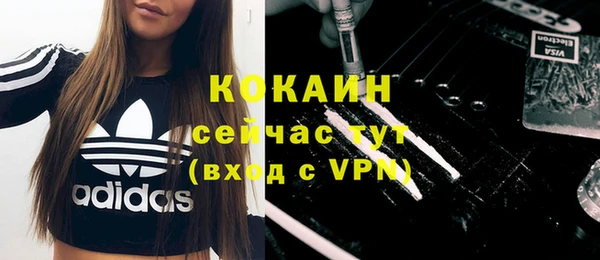 прущие грибы Вязьма