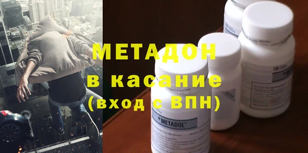 прущие грибы Вязьма