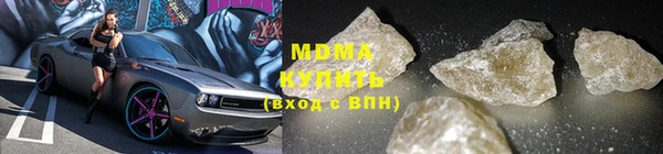 прущие грибы Вязьма