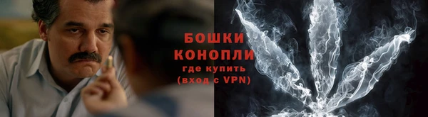 прущие грибы Вязьма
