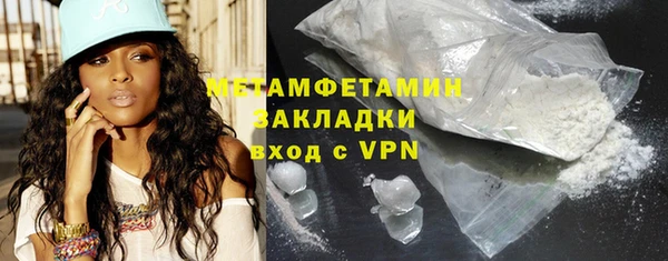 шишки Горняк