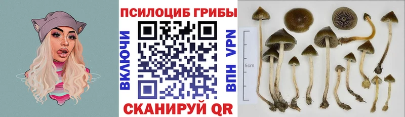 закладки  Заринск  blacksprut ONION  даркнет формула  Галлюциногенные грибы мухоморы 